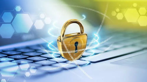 警惕“前世青年照”背后风险 当娱乐触及个人信息安全警戒线